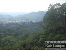 Propiedad a la venta en Sarchi